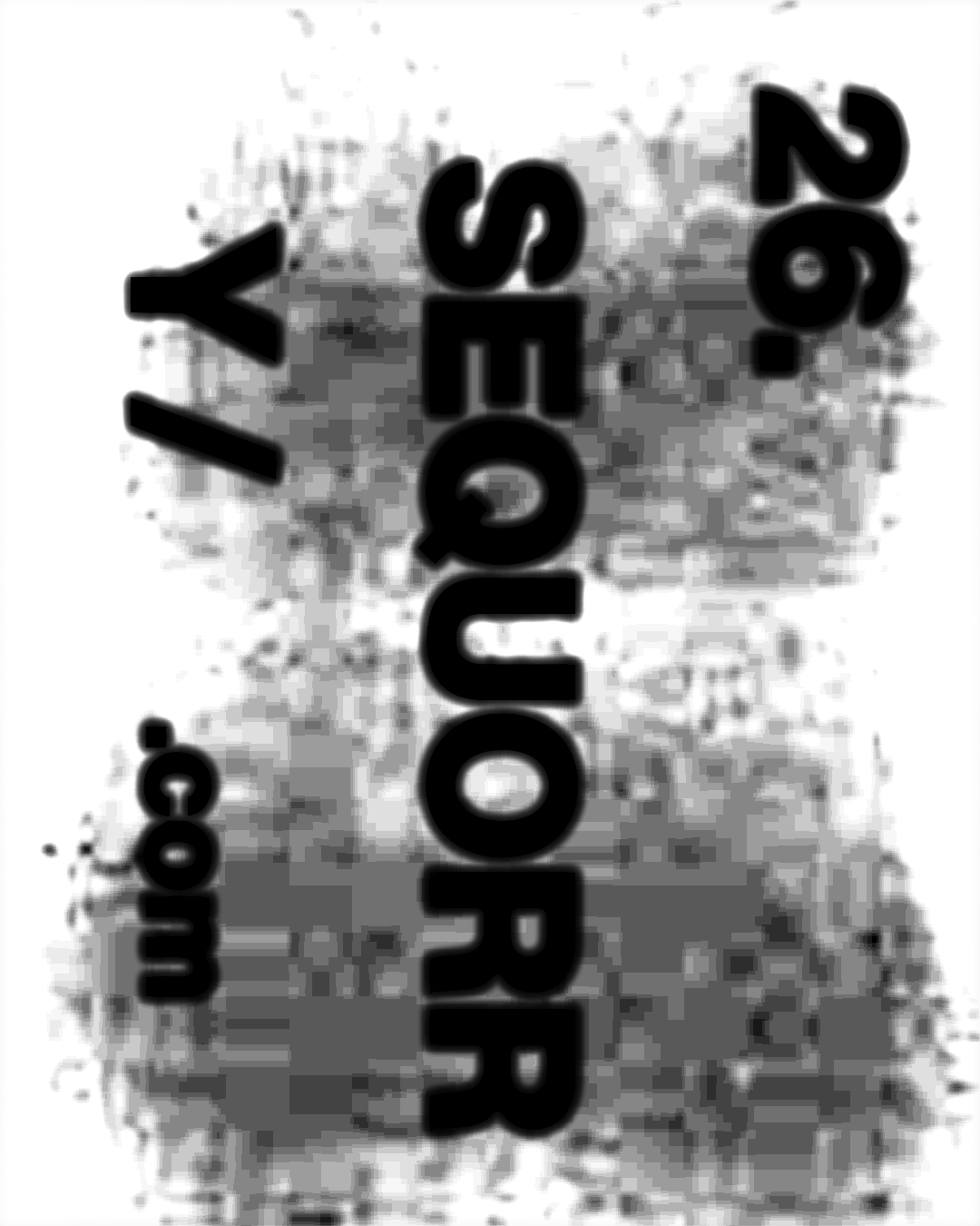 Sequorr detail
